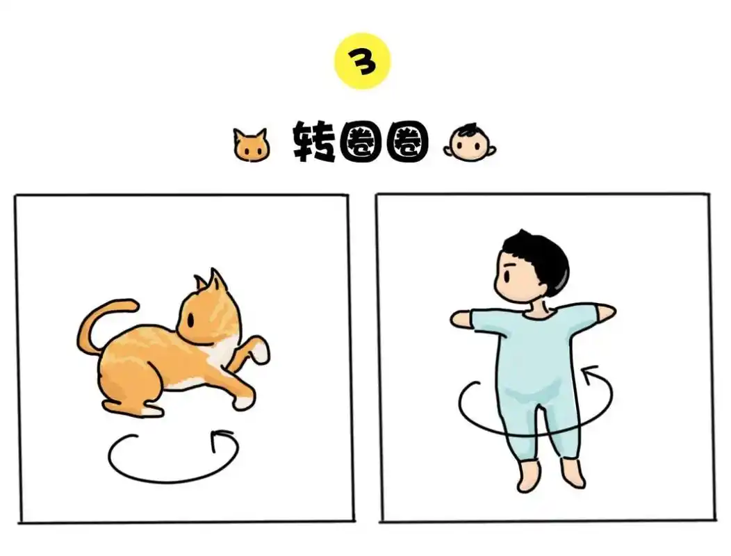 宝宝和猫的15个相似之处