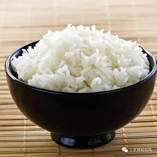 对生命而言天天吃的白米饭竟然是糟粕可怕的是你竟然被蒙在鼓里