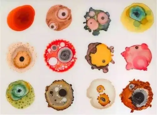 生命彩虹 | 今日美术馆云展览"微观世界"第二季上线