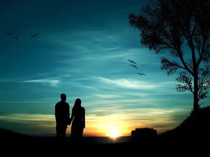 浪漫的夜晚,情侣,树,鸟,日落,剪影 壁纸 - 1024x768