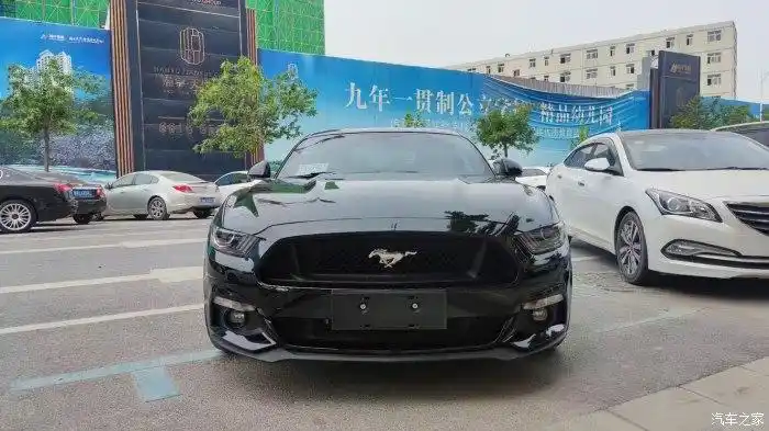 河南个人出售15年极品野马