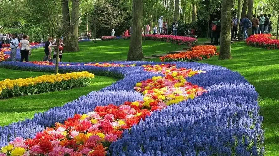 疫情之下,我陪你安全地"云游"—世界最美花园