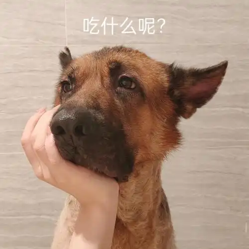 每次一到饭点就不知道吃什么