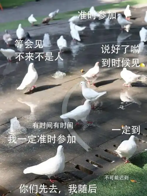 说好参加的聚餐比如创产独家的表情包来了!