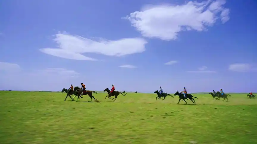 大草原版速度与激情 #马背上的民族 #赛马 #我的草原我的马