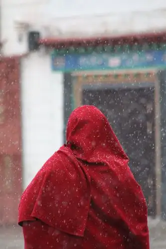 下雪了,它的背影似乎飘着佛国的梵音,简单,幸福!