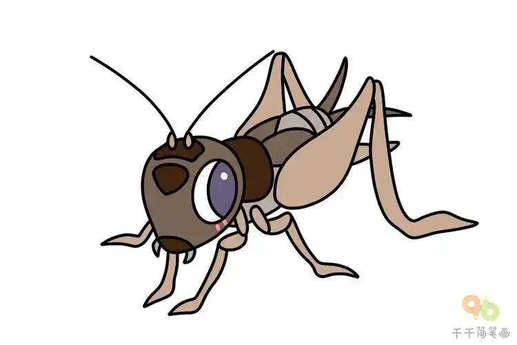 蟋蟀简笔画如何画