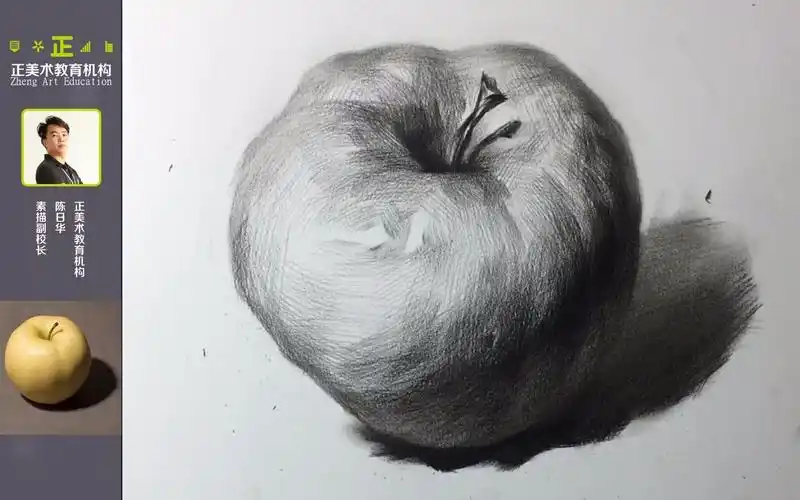 素描静物单个苹果