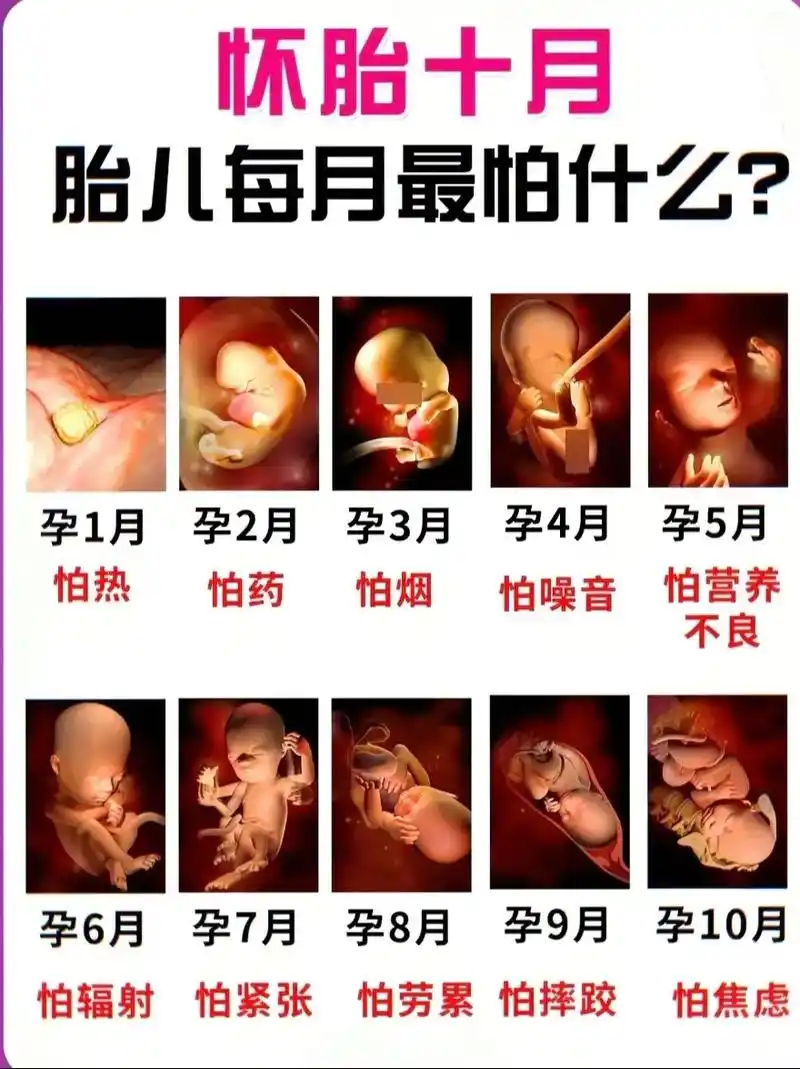 怀胎十月胎儿最怕什么?这份攻略都告诉你,相 - 抖音
