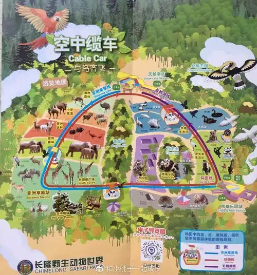 广州长隆野生动物园飞鸟乐园超实用的亲子游攻略
