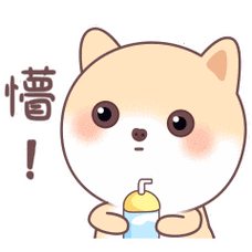 我的脑袋都是懵的