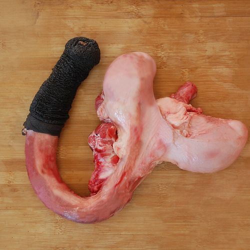 新鲜驴鞭生纯驴鞭驴三宝驴宝农家生驴鞭真空河北特产驴肉500g 1.