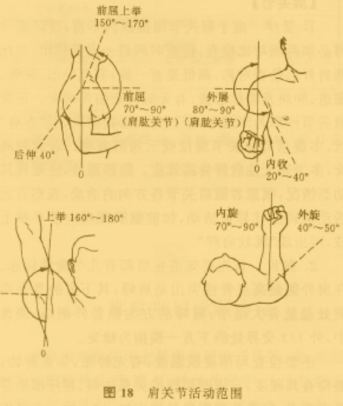 关节活动度(图18)如下