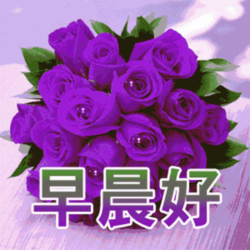 新的一周早上好问候语唯美句子 5月20月早晨心语图片大全