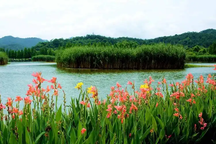 东钱湖马山湿地公园 [复制]