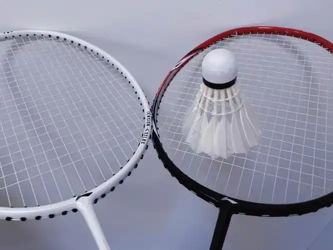 长沙北辰羽毛球捡球girl又菜又爱玩