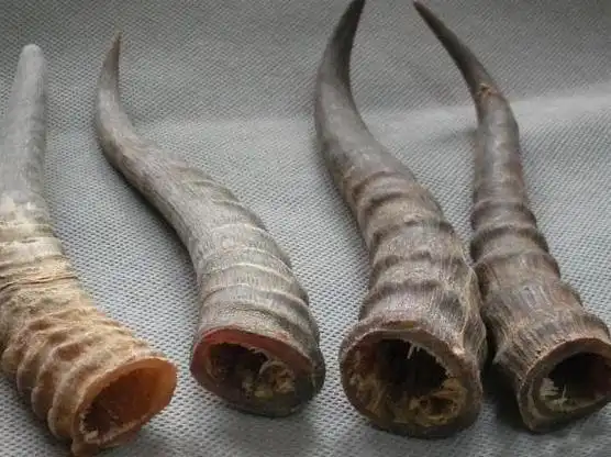 羚羊角滴丸的作用是什么呢