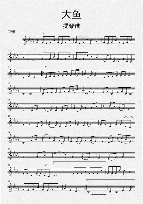 大鱼提琴谱乐谱