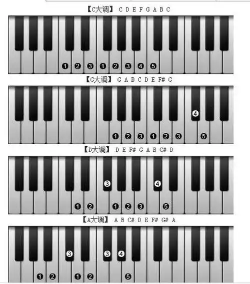 电子琴上哪个键是1234567这里有你想知道的答案