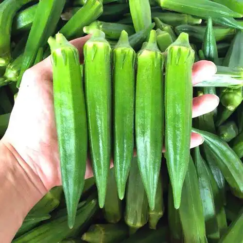 新鲜印度羊角豆