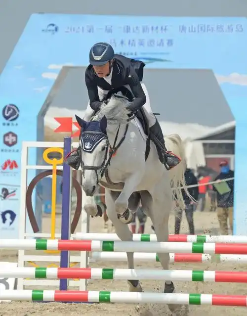 唐山国际旅游岛首届"康达新材杯"马术精英邀请赛惊艳亮相!