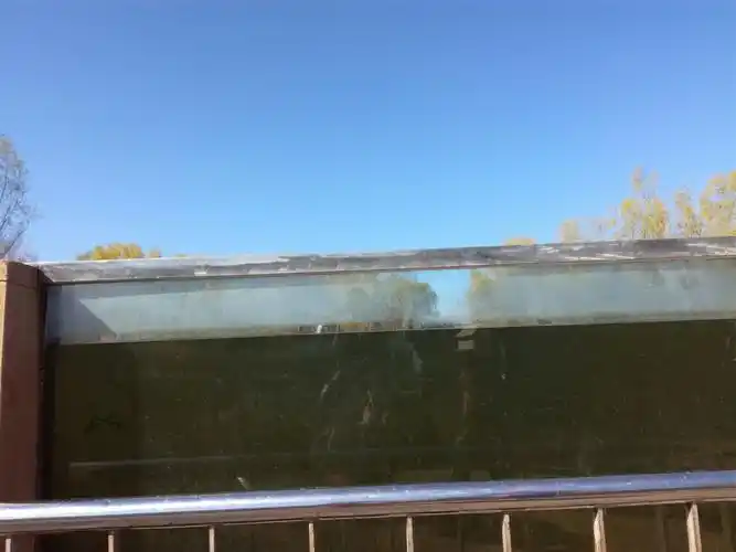 奥森3.28——cdna