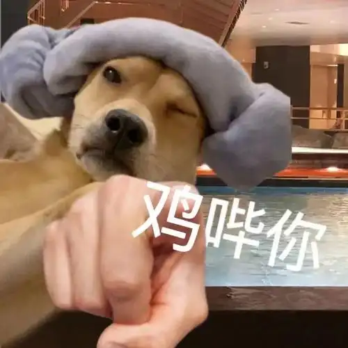 表情包##表情包无水印##搞笑表情包