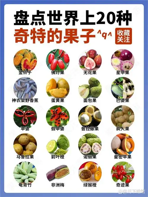 冷门又怪异|20种奇特水果大全来咯