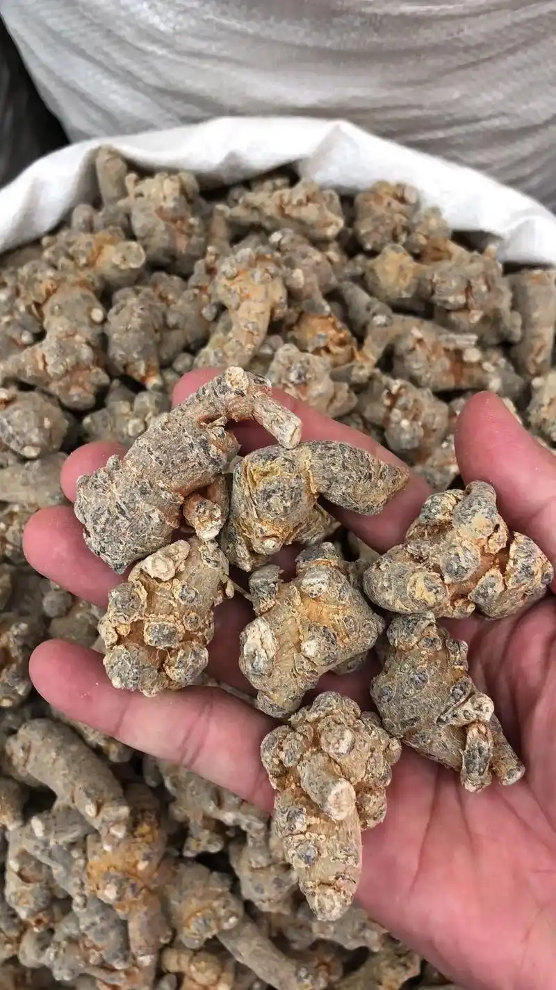 田七(三七) 40/23/20/头规格足干无蜡,天然无添加 - 抖音