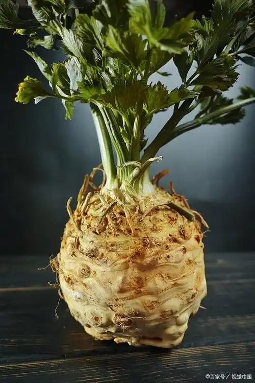 根茎类蔬菜是指食用部分为根茎部分的植物.