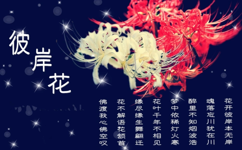 彼岸花的传说故事