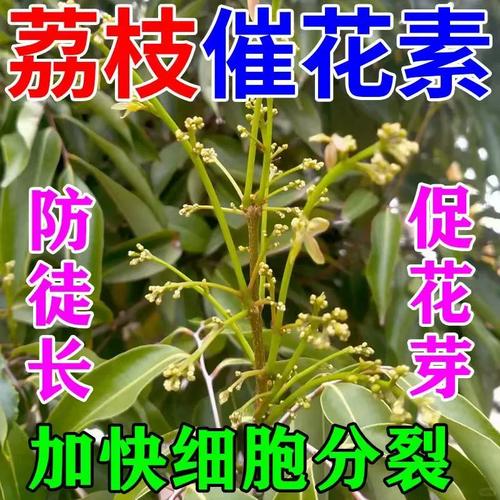 荔枝催花素】荔枝专用细胞分裂素打破休眠花芽分化促花素保花保果