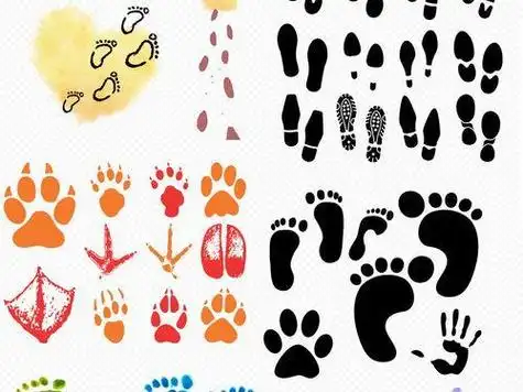 幼儿卡通脚印简笔画