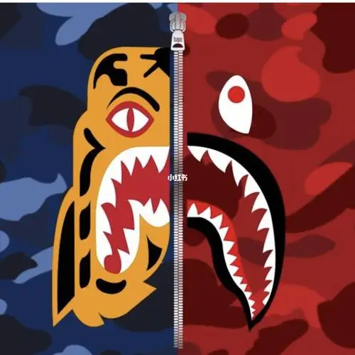 因为这衣服一般是老虎图案,一般是鲨鱼图案.