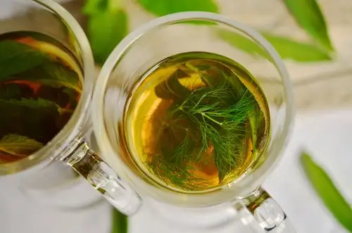 herbal tea,herbs,tee,fennel,mint,sage,aroma