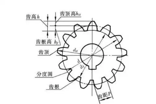 分度圆直径与齿根圆的关系