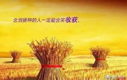 流泪撒种的,必欢呼收割.主啊!