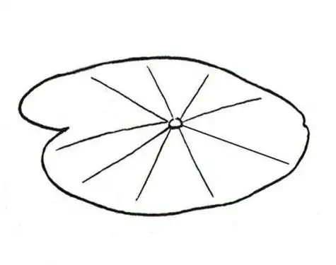 荷叶简笔画教程