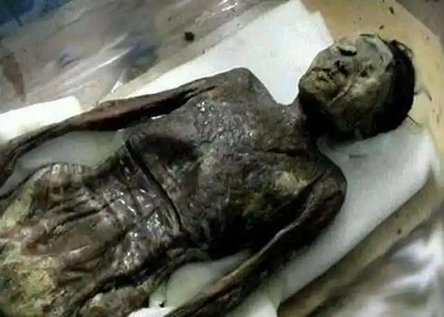 这个嫔妃相貌丑陋,外号"中秋月饼",30年尸体不腐双眼半闭