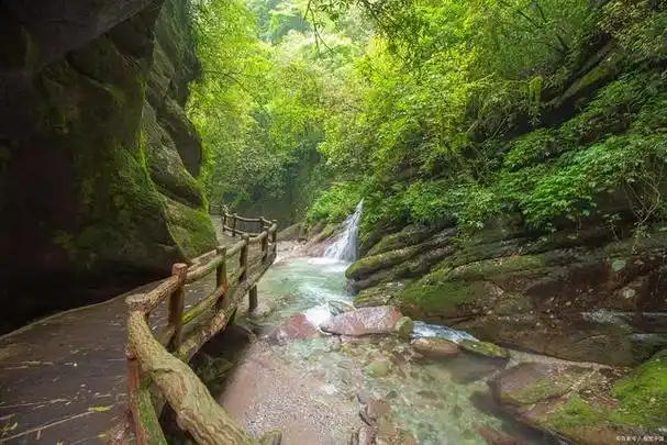 宜宾市长宁县七洞沟旅游景区是一片令人陶醉的自然乐园,其宜人的风景