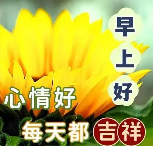 新款早上好表情包图片,每天开心,每日健康