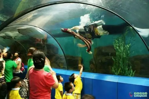 洛阳王城公园 龙门海洋馆一日游成人118元/人.4月29.30 5月1号发团