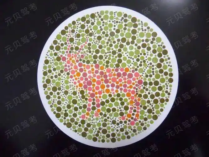 (内附色盲测试)_搜狐汽车_搜狐网