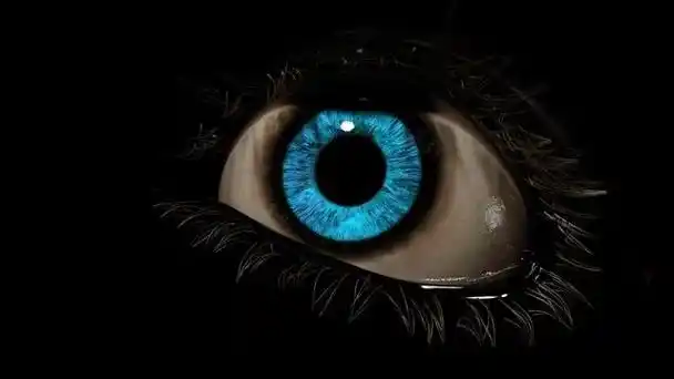 behind the scene  00:01:56 02. life  00:05:30 03.