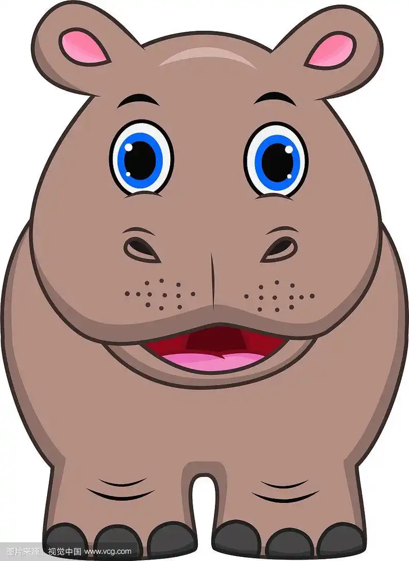 可爱的河马动画