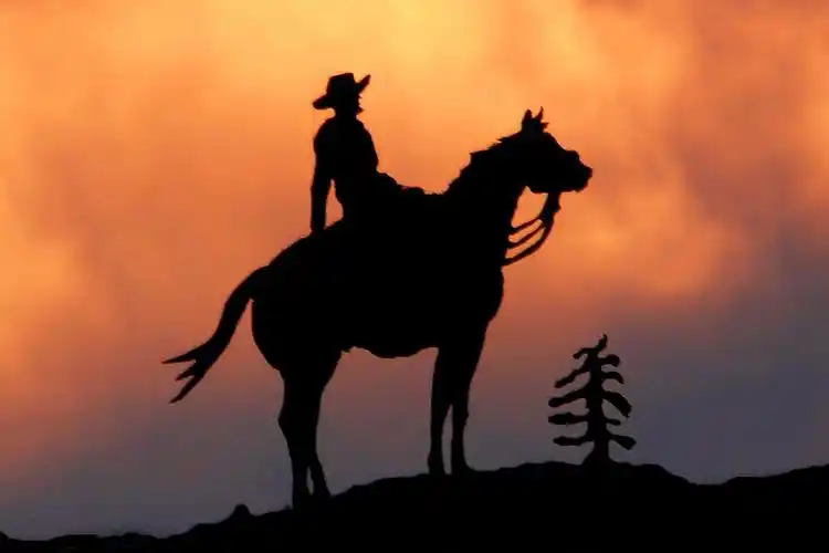 玫瑰金牛仔剪影夕阳下骑在马上的男人电影背景图片夕阳下骑马的牛仔