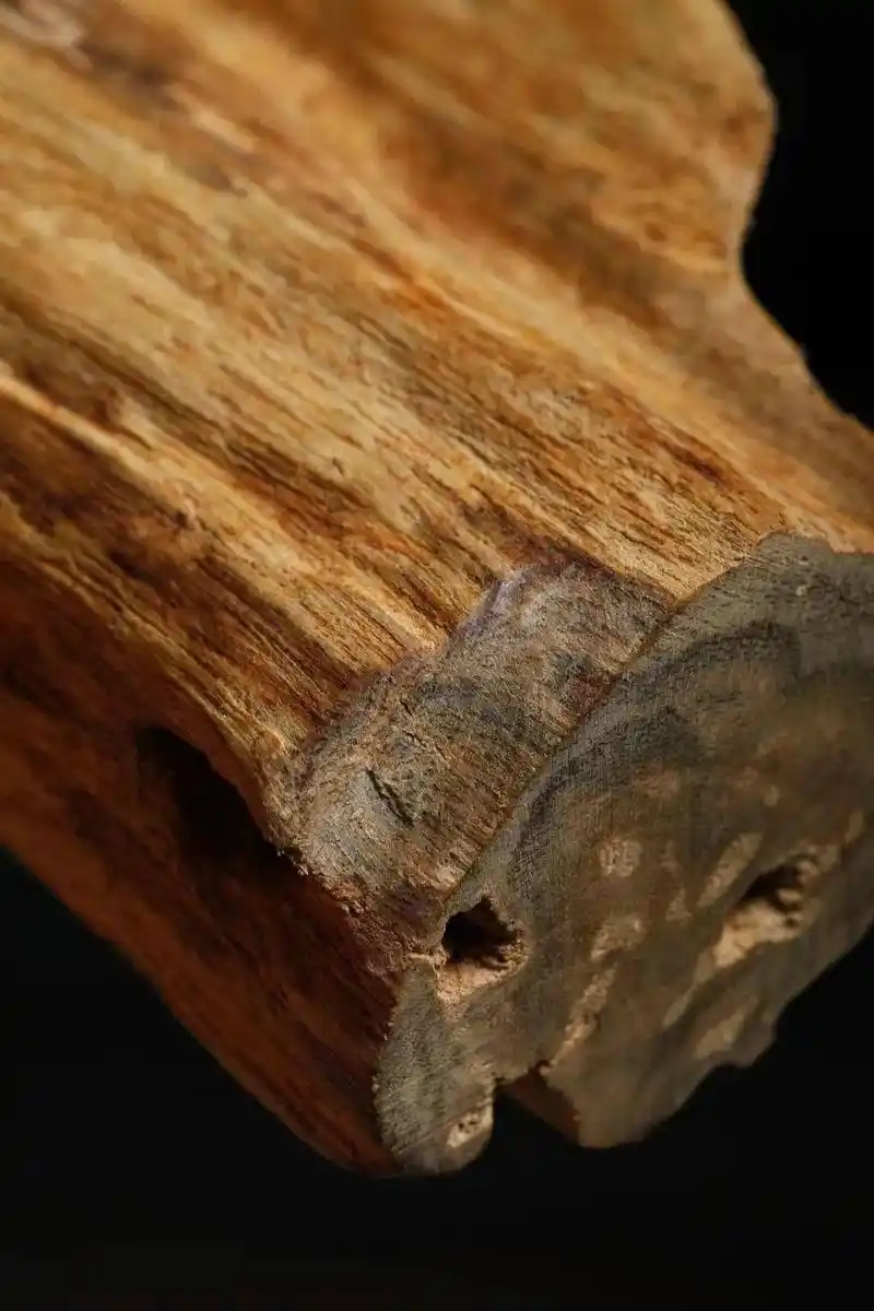 了解奇楠沉香的神奇作用