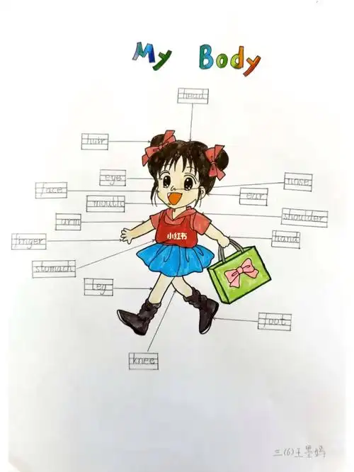 三年级英语mybody手抄报