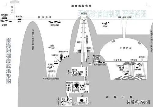 哔哩哔哩相簿,绘你所想,拍你所爱