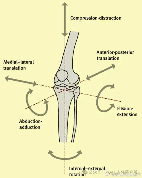 泡沫轴,它的多部位使用方法    【作用1:增加胸廓旋转活动度】  1